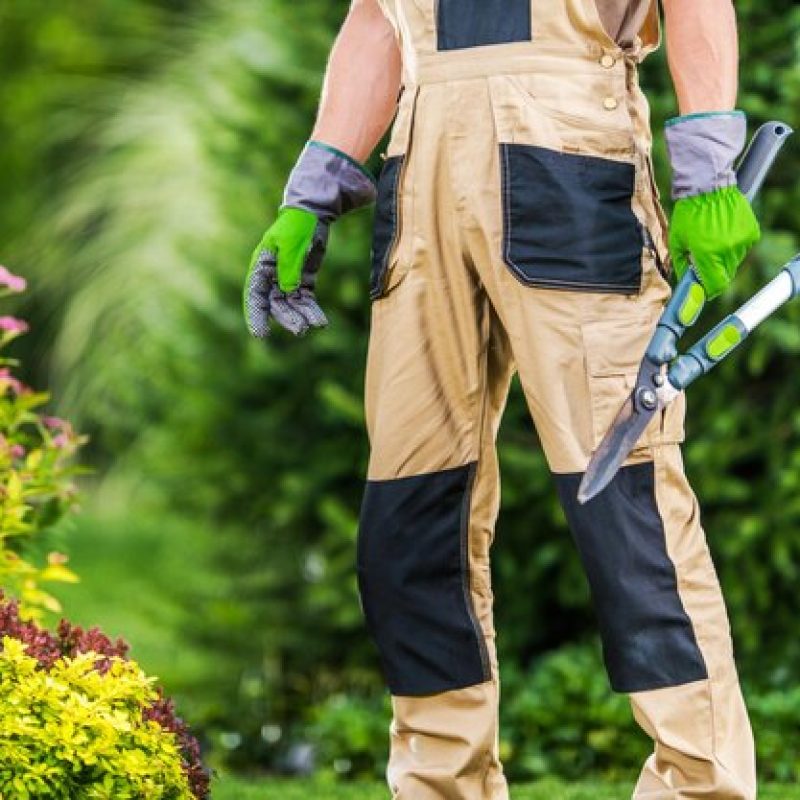 jardineria_paisajismo